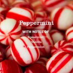 Peppermint Liquid Hand Soap - Image 4