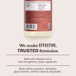 Fall Leaves Multi-Surface Everyday Cleaner - Image 6