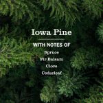 Iowa Pine Dish Soap - Image 4