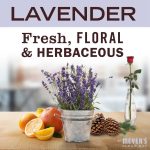 Lavender Daily Bar Soap - Image 3