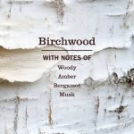 Birchwood Liquid Hand Soap & Refill Set - Image 2