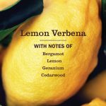 Lemon Verbena Toilet Bowl Cleaner - Image 4