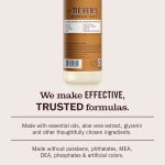 Acorn Spice Dish Soap - Image 6
