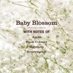Baby Blossom Laundry Detergent - Image 3