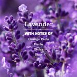Lavender Room Freshener - Image 4