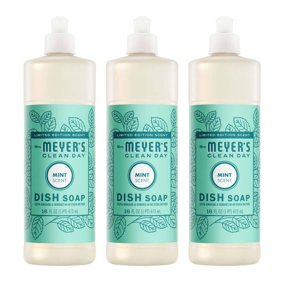 1c8cc4c6-ef46-5b4c-a40e-867b4726a001.jpg Mint Dish Soap 3-count Bundle - Image 1