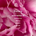 Peony Multi-Surface Everyday Cleaner - Image 4