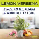 Lemon Verbena Baking Soda Cream Cleaner – 16 oz - Image 3