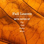 Fall Leaves Multi-Surface Everyday Cleaner - Image 4