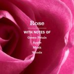 Rose Dish Soap - Image 4