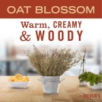 Oat Blossom Body Wash - Image 3