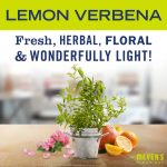 Lemon Verbena Tin Candle - Image 3