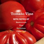 Tomato Vine Liquid Dish Soap - Image 4