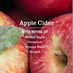 Apple Cider Multi-Surface Everyday Cleaner - Image 4