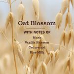 Oat Blossom Liquid Hand Soap Refill - Image 4