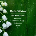 Rain Water Plug In Scented Oil Refill, 4-Pack - Image 4