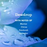 Dewdrop Dish Soap 3-count Bundle - Image 4