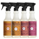 Fall Seasonal Multi-Surface Everyday Cleaner Collection