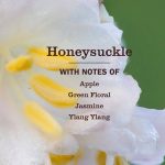 Honeysuckle Liquid Hand Soap - Image 4