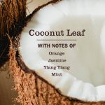 Coconut Leaf  Pet Multi-Surface Cleaner - Image 3